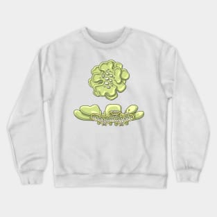 Lichen Structure Illustration Crewneck Sweatshirt